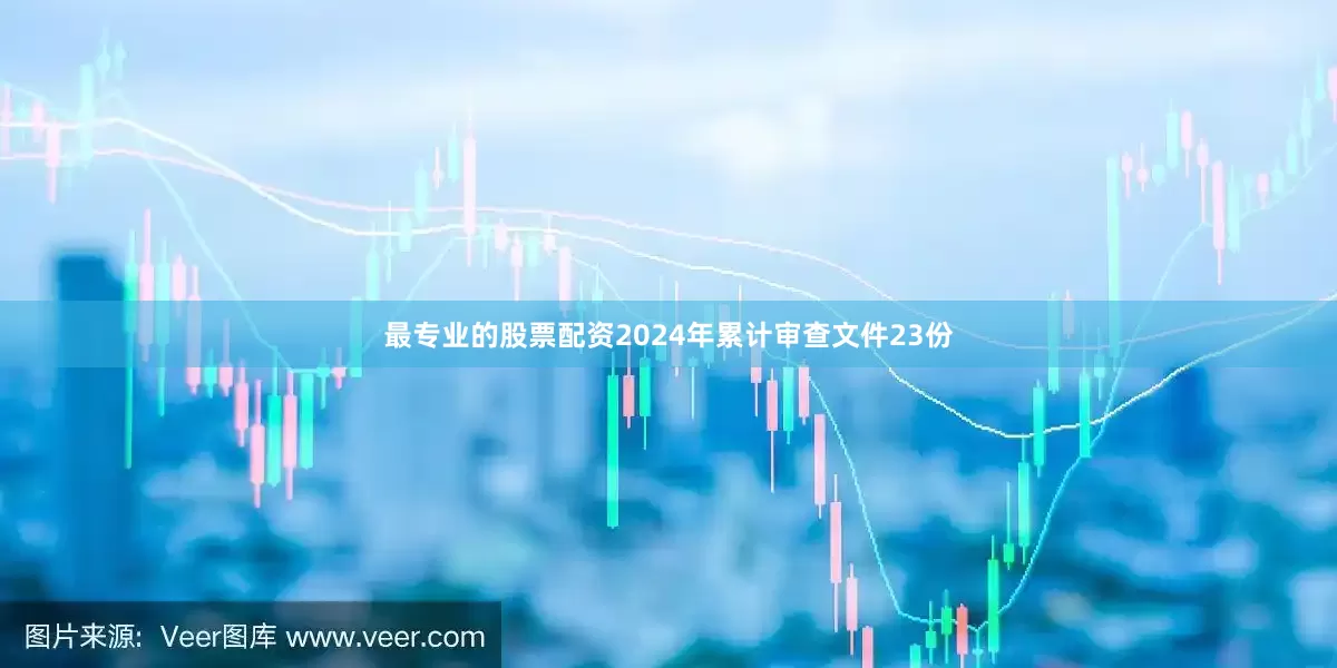 最专业的股票配资2024年累计审查文件23份