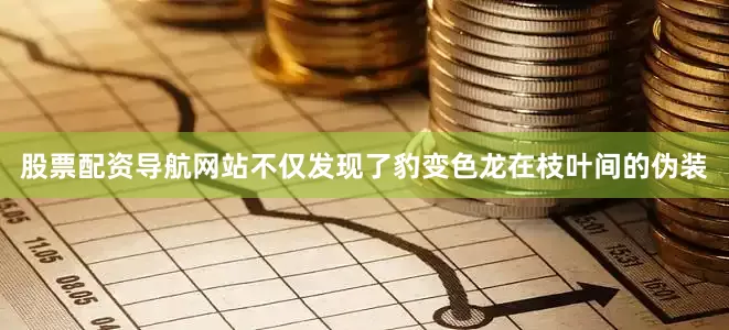 股票配资导航网站不仅发现了豹变色龙在枝叶间的伪装