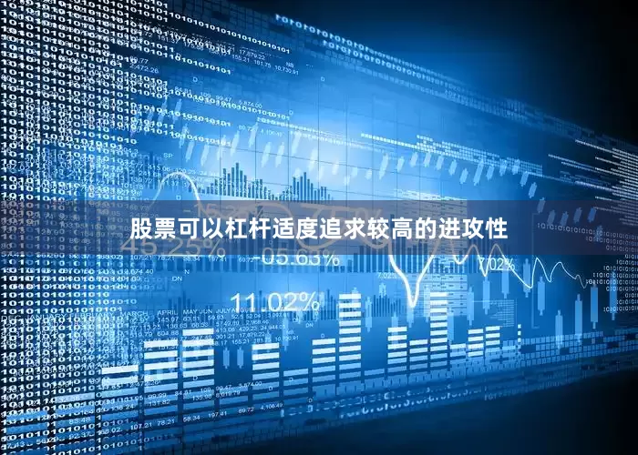 股票可以杠杆适度追求较高的进攻性