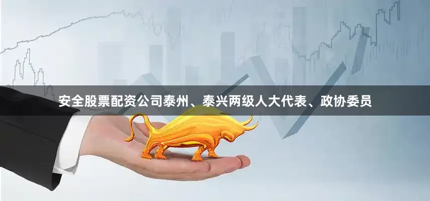 安全股票配资公司泰州、泰兴两级人大代表、政协委员